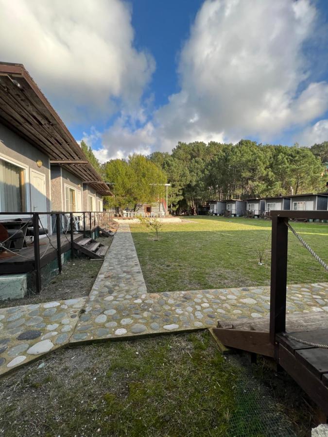 Mini-hotel FOREST CLUB Pitsoenda Buitenkant foto