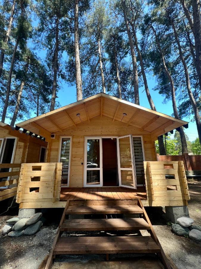 Mini-hotel FOREST CLUB Pitsoenda Buitenkant foto